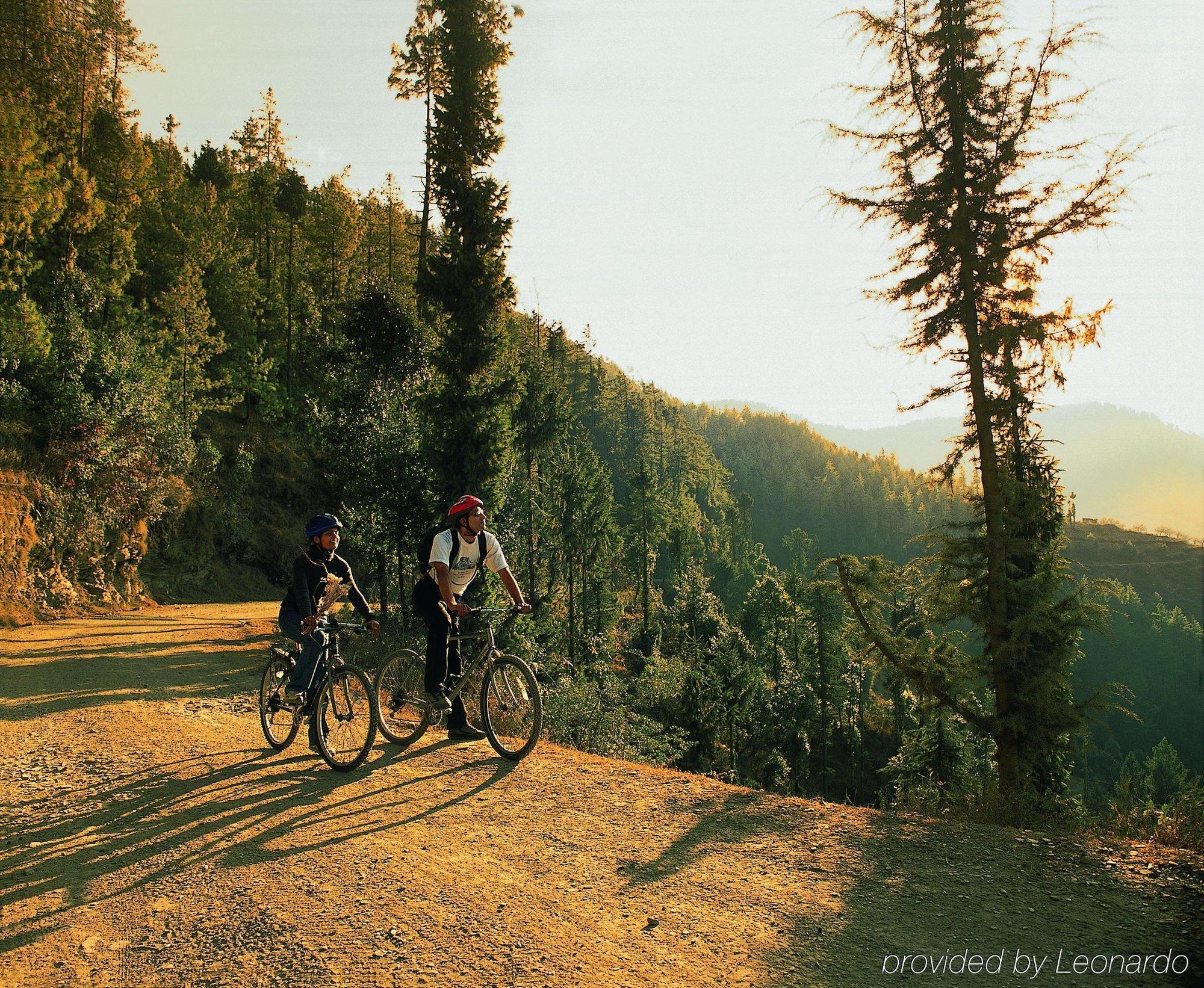 Wildflower Hall, An Oberoi Resort, Shimla Faciliteter billede